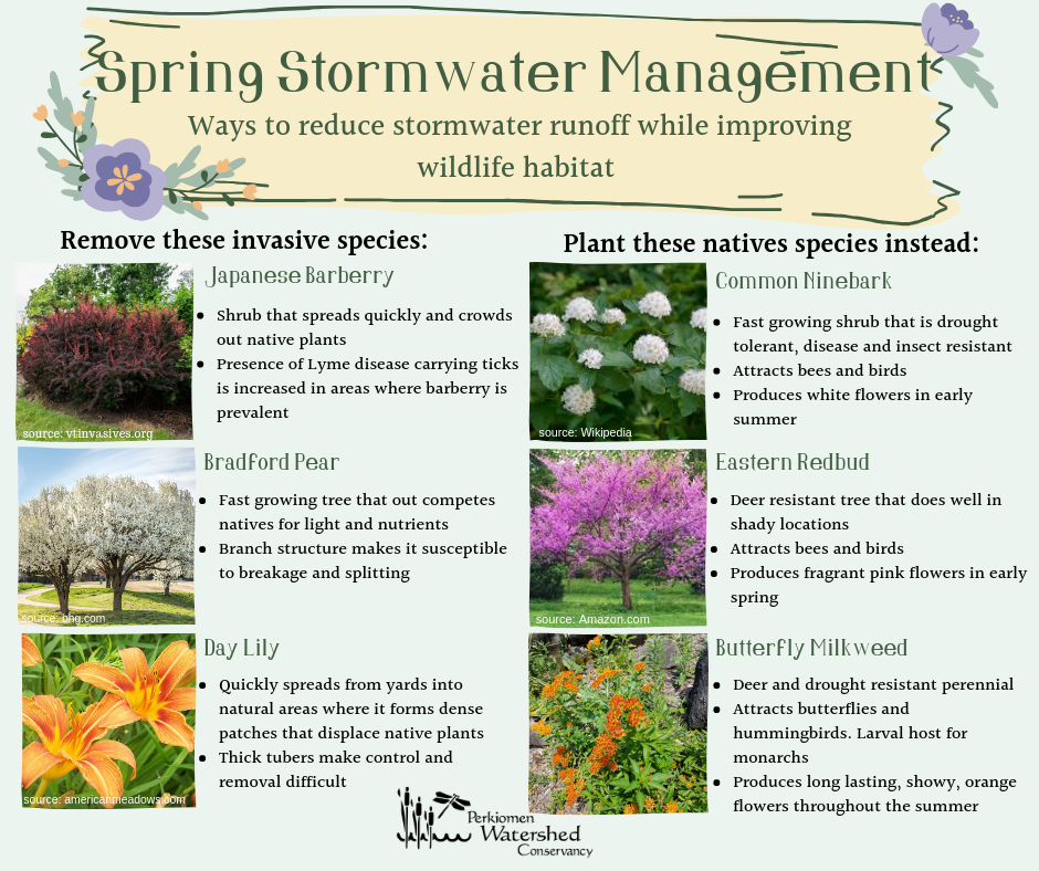 Rain Gardens — Perkiomen Watershed Conservancy